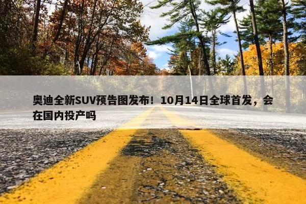 奥迪全新SUV预告图发布！10月14日全球首发，会在国内投产吗