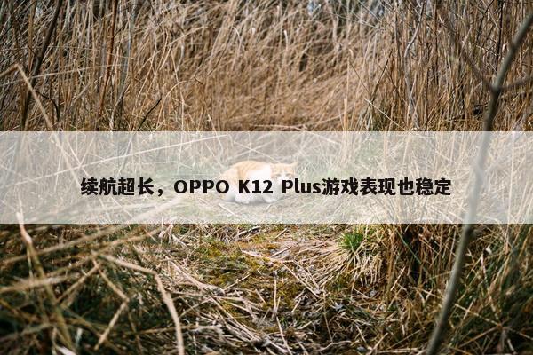 续航超长，OPPO K12 Plus游戏表现也稳定