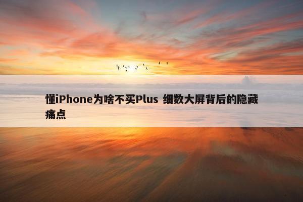 懂iPhone为啥不买Plus 细数大屏背后的隐藏痛点