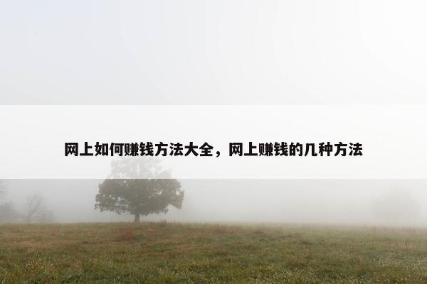 网上如何赚钱方法大全，网上赚钱的几种方法