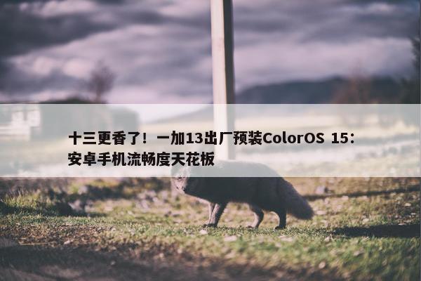 十三更香了！一加13出厂预装ColorOS 15：安卓手机流畅度天花板