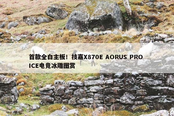 首款全白主板！技嘉X870E AORUS PRO ICE电竞冰雕图赏