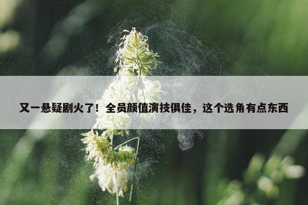 又一悬疑剧火了！全员颜值演技俱佳，这个选角有点东西