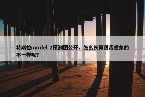 特斯拉model 2预测图公开，怎么长得跟我想象的不一样呢？