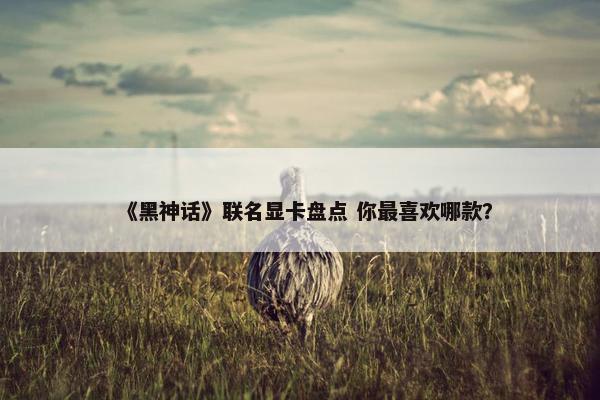 《黑神话》联名显卡盘点 你最喜欢哪款？