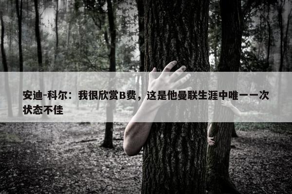 安迪-科尔：我很欣赏B费，这是他曼联生涯中唯一一次状态不佳