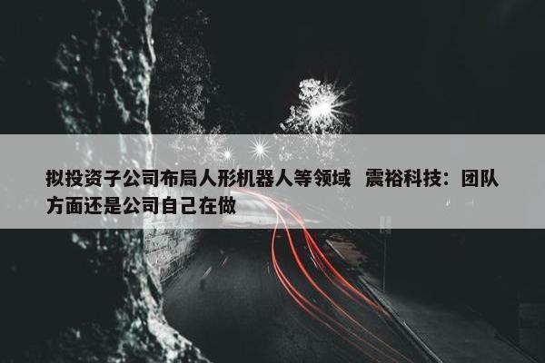 拟投资子公司布局人形机器人等领域  震裕科技：团队方面还是公司自己在做