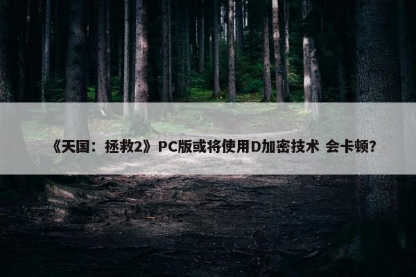 《天国：拯救2》PC版或将使用D加密技术 会卡顿？