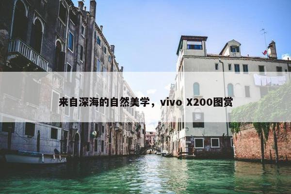 来自深海的自然美学，vivo X200图赏