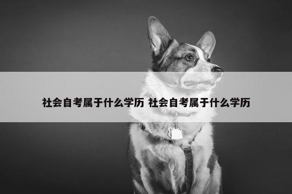 社会自考属于什么学历 社会自考属于什么学历