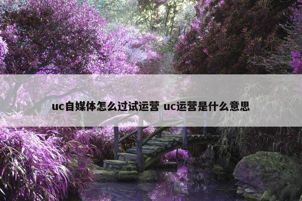 uc自媒体怎么过试运营 uc运营是什么意思