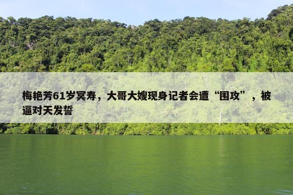 梅艳芳61岁冥寿，大哥大嫂现身记者会遭“围攻”，被逼对天发誓