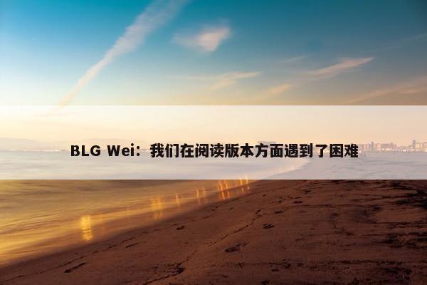 BLG Wei：我们在阅读版本方面遇到了困难