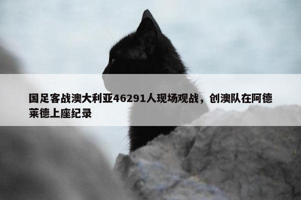 国足客战澳大利亚46291人现场观战，创澳队在阿德莱德上座纪录