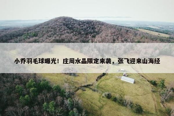 小乔羽毛球曝光！庄周水晶限定来袭，张飞迎来山海经