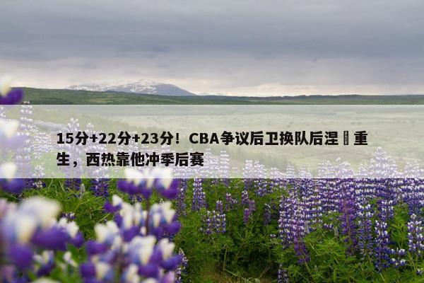 15分+22分+23分！CBA争议后卫换队后涅槃重生，西热靠他冲季后赛