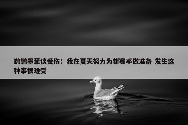 鹈鹕墨菲谈受伤：我在夏天努力为新赛季做准备 发生这种事很难受