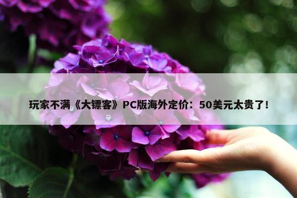 玩家不满《大镖客》PC版海外定价：50美元太贵了！