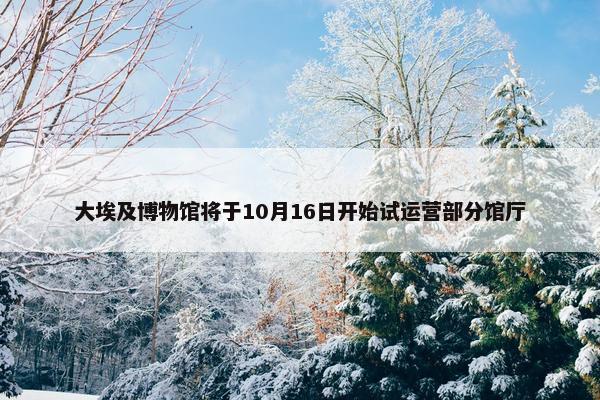 大埃及博物馆将于10月16日开始试运营部分馆厅