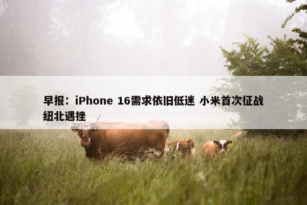 早报：iPhone 16需求依旧低迷 小米首次征战纽北遇挫