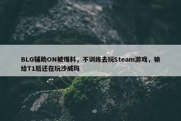 BLG辅助ON被爆料，不训练去玩Steam游戏，输给T1后还在玩沙威玛