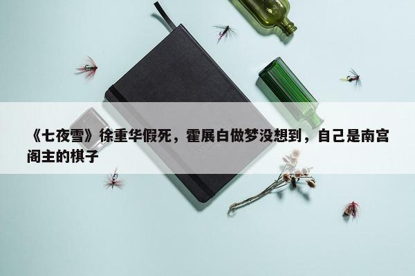 《七夜雪》徐重华假死，霍展白做梦没想到，自己是南宫阁主的棋子