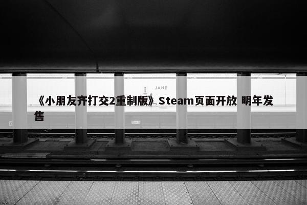 《小朋友齐打交2重制版》Steam页面开放 明年发售