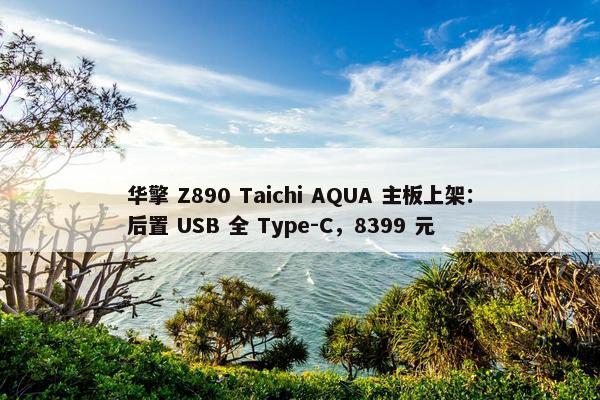 华擎 Z890 Taichi AQUA 主板上架：后置 USB 全 Type-C，8399 元