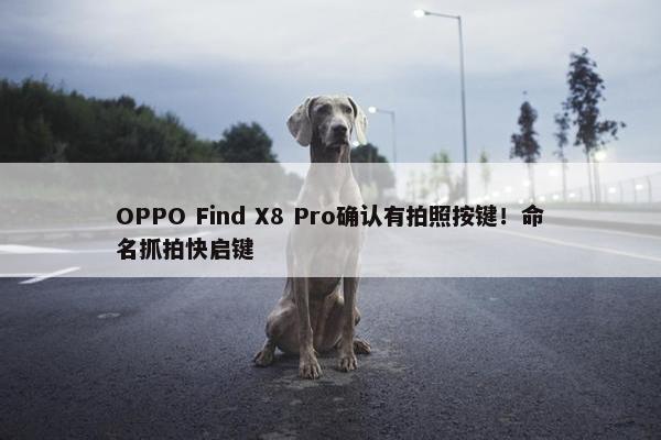 OPPO Find X8 Pro确认有拍照按键！命名抓拍快启键