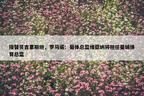 接替贝吉里斯坦，罗马诺：葡体总监维亚纳将担任曼城体育总监