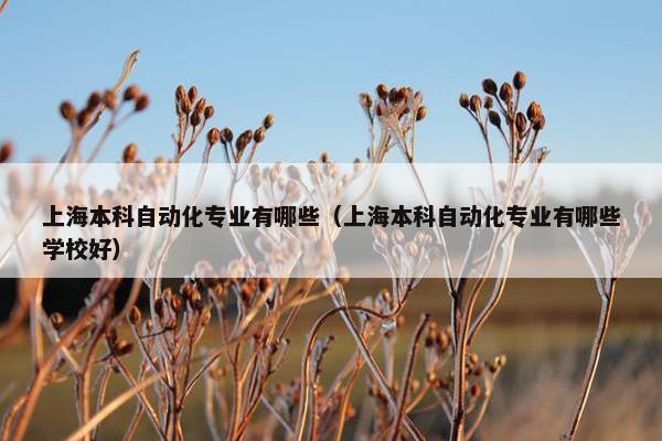 上海本科自动化专业有哪些（上海本科自动化专业有哪些学校好）