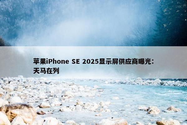 苹果iPhone SE 2025显示屏供应商曝光：天马在列