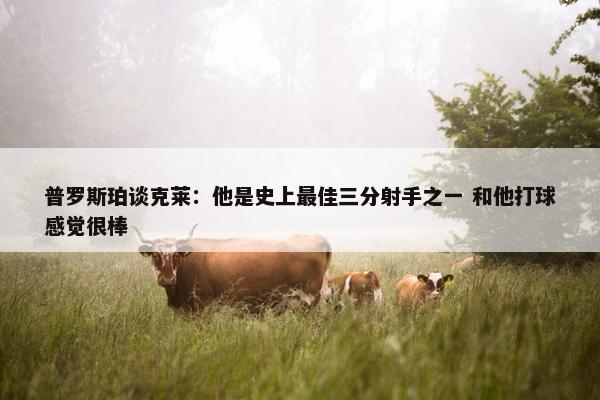 普罗斯珀谈克莱：他是史上最佳三分射手之一 和他打球感觉很棒