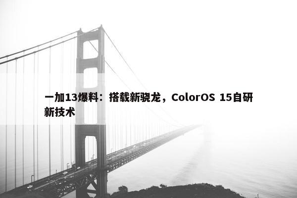 一加13爆料：搭载新骁龙，ColorOS 15自研新技术