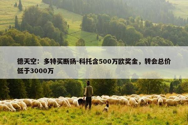 德天空：多特买断扬-科托含500万欧奖金，转会总价低于3000万