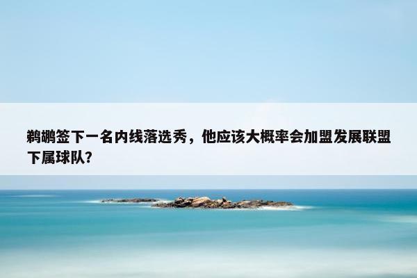 鹈鹕签下一名内线落选秀，他应该大概率会加盟发展联盟下属球队？