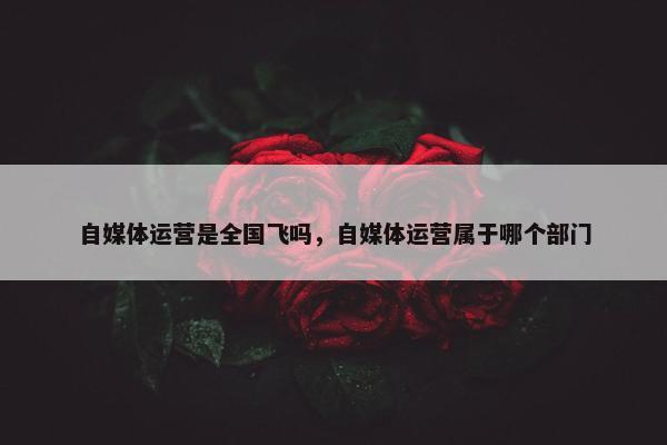 自媒体运营是全国飞吗，自媒体运营属于哪个部门