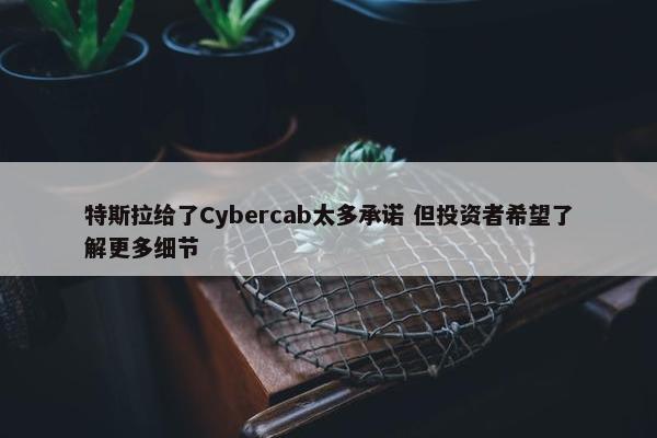 特斯拉给了Cybercab太多承诺 但投资者希望了解更多细节