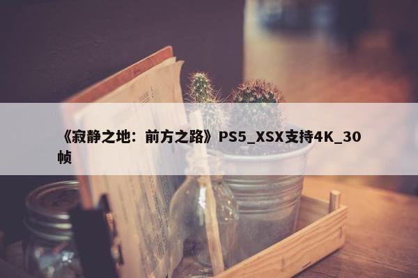 《寂静之地：前方之路》PS5_XSX支持4K_30帧