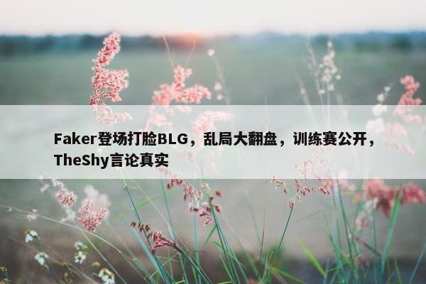 Faker登场打脸BLG，乱局大翻盘，训练赛公开，TheShy言论真实