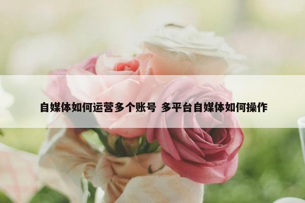 自媒体如何运营多个账号 多平台自媒体如何操作