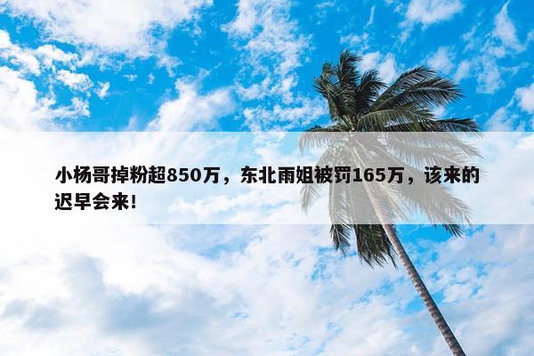 小杨哥掉粉超850万，东北雨姐被罚165万，该来的迟早会来！