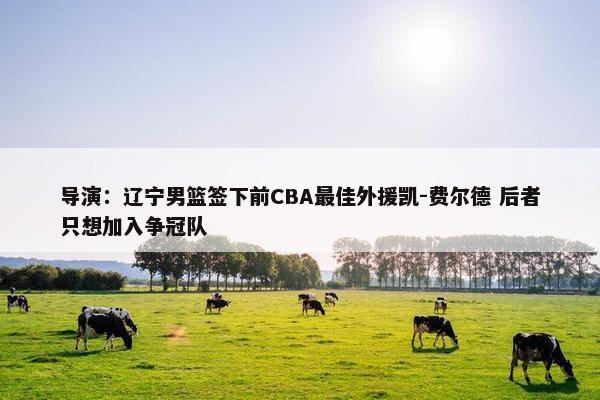 导演：辽宁男篮签下前CBA最佳外援凯-费尔德 后者只想加入争冠队