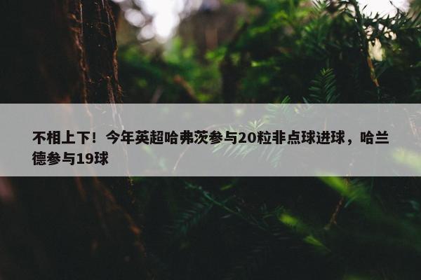 不相上下！今年英超哈弗茨参与20粒非点球进球，哈兰德参与19球