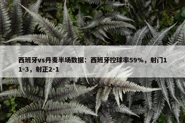 西班牙vs丹麦半场数据：西班牙控球率59%，射门11-3，射正2-1