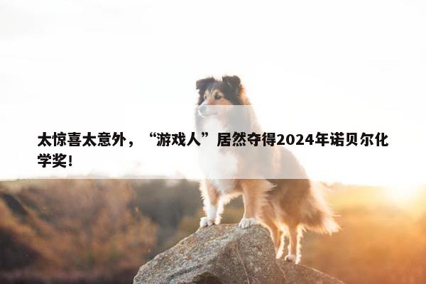 太惊喜太意外，“游戏人”居然夺得2024年诺贝尔化学奖！