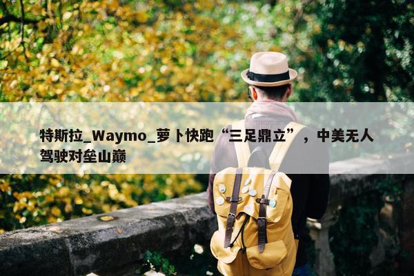 特斯拉_Waymo_萝卜快跑“三足鼎立”，中美无人驾驶对垒山巅