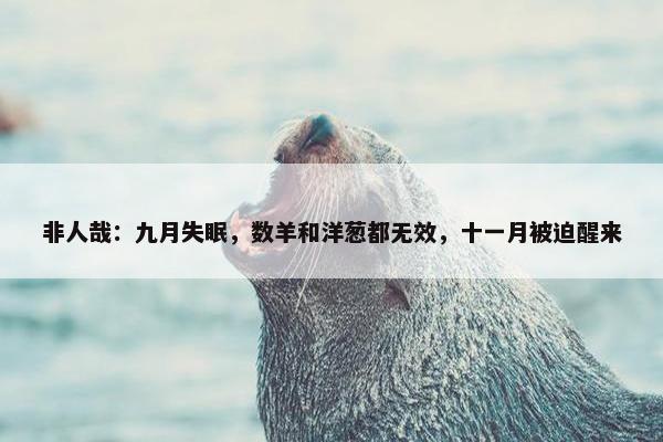 非人哉：九月失眠，数羊和洋葱都无效，十一月被迫醒来