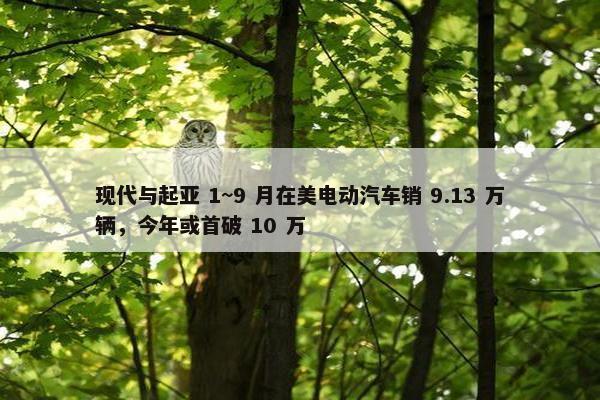 现代与起亚 1~9 月在美电动汽车销 9.13 万辆，今年或首破 10 万