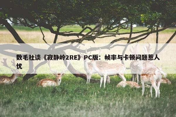 数毛社谈《寂静岭2RE》PC版：帧率与卡顿问题惹人忧